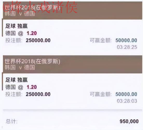 世界杯投注热门平台推荐与选择解析